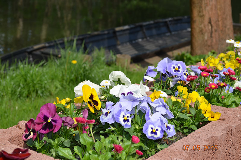 Blumenbeet vor einem Spreewaldkahn